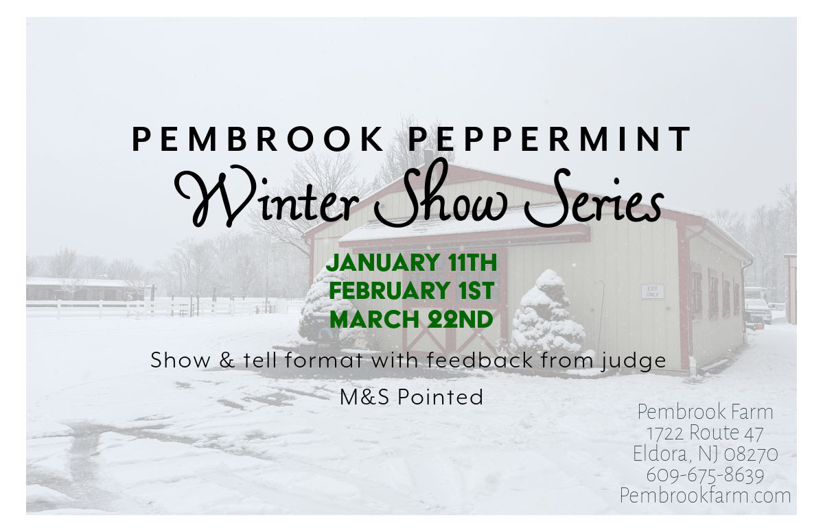 Pembrook Peppermint winter show series. January 11th, February 1st, March 22nd. Show and tell format with feedback from judge. M&S Pointed.
